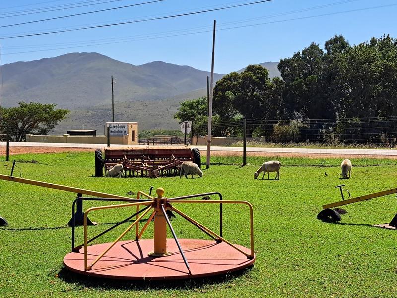 11 Bedroom Property for Sale in Kareedouw Eastern Cape